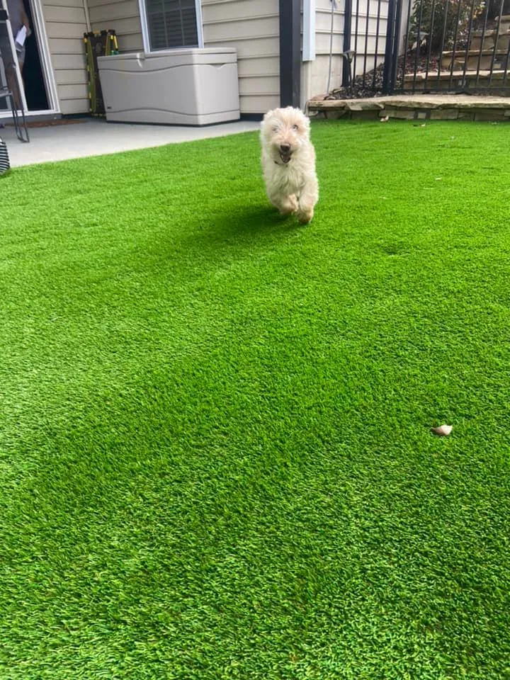 Artificial Turf – Outdoor Living Tip of the Day