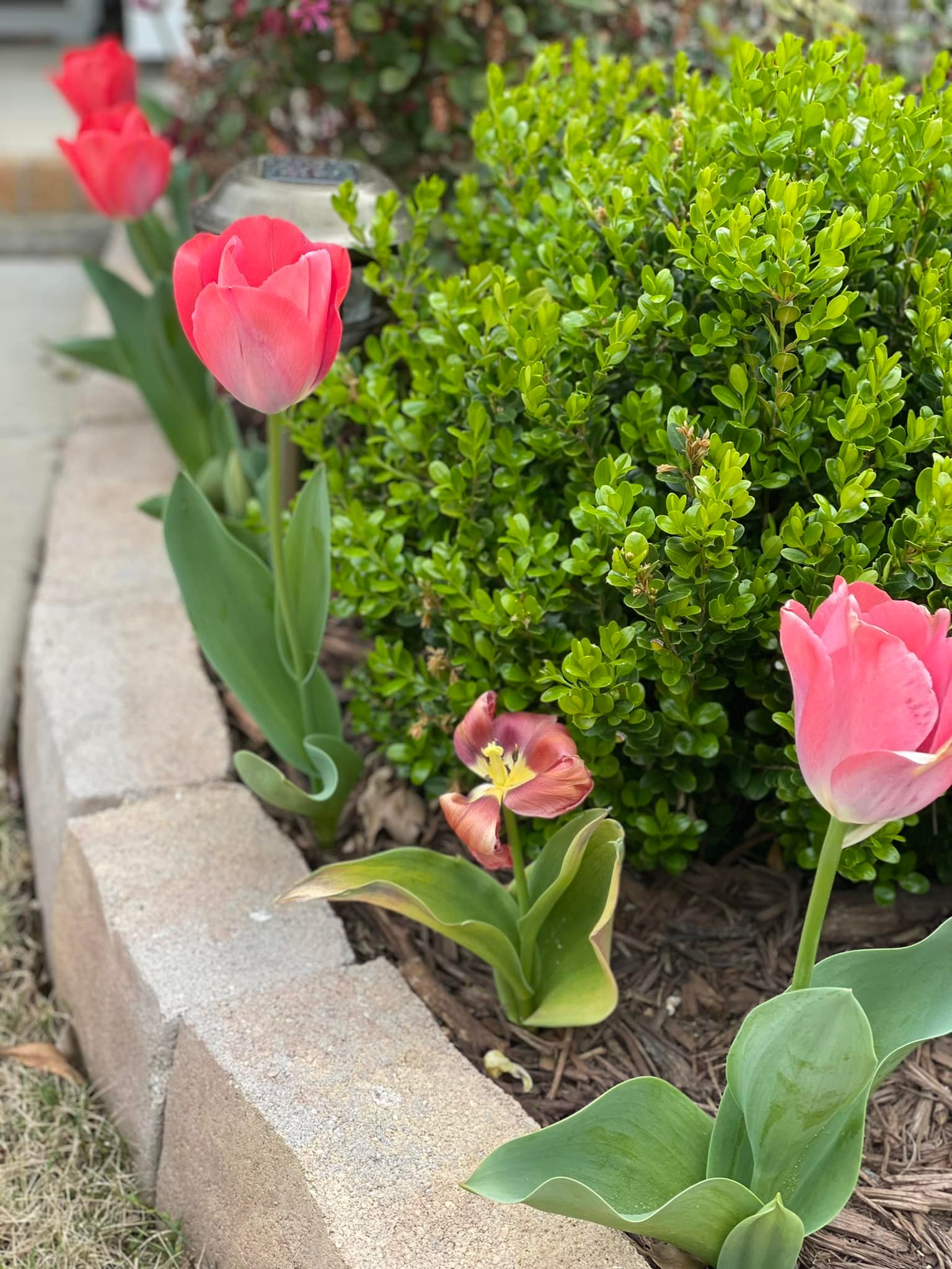 Curb Appeal – Outdoor Living Tip of the Day