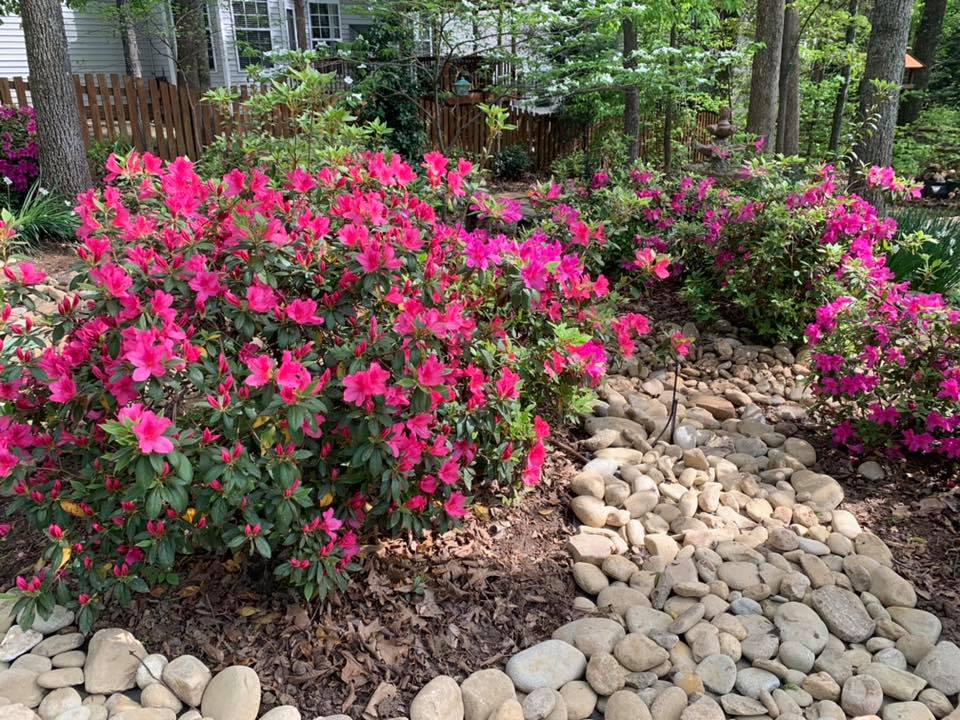 Dealing with the Drainage – Outdoor Living Tip of the Day