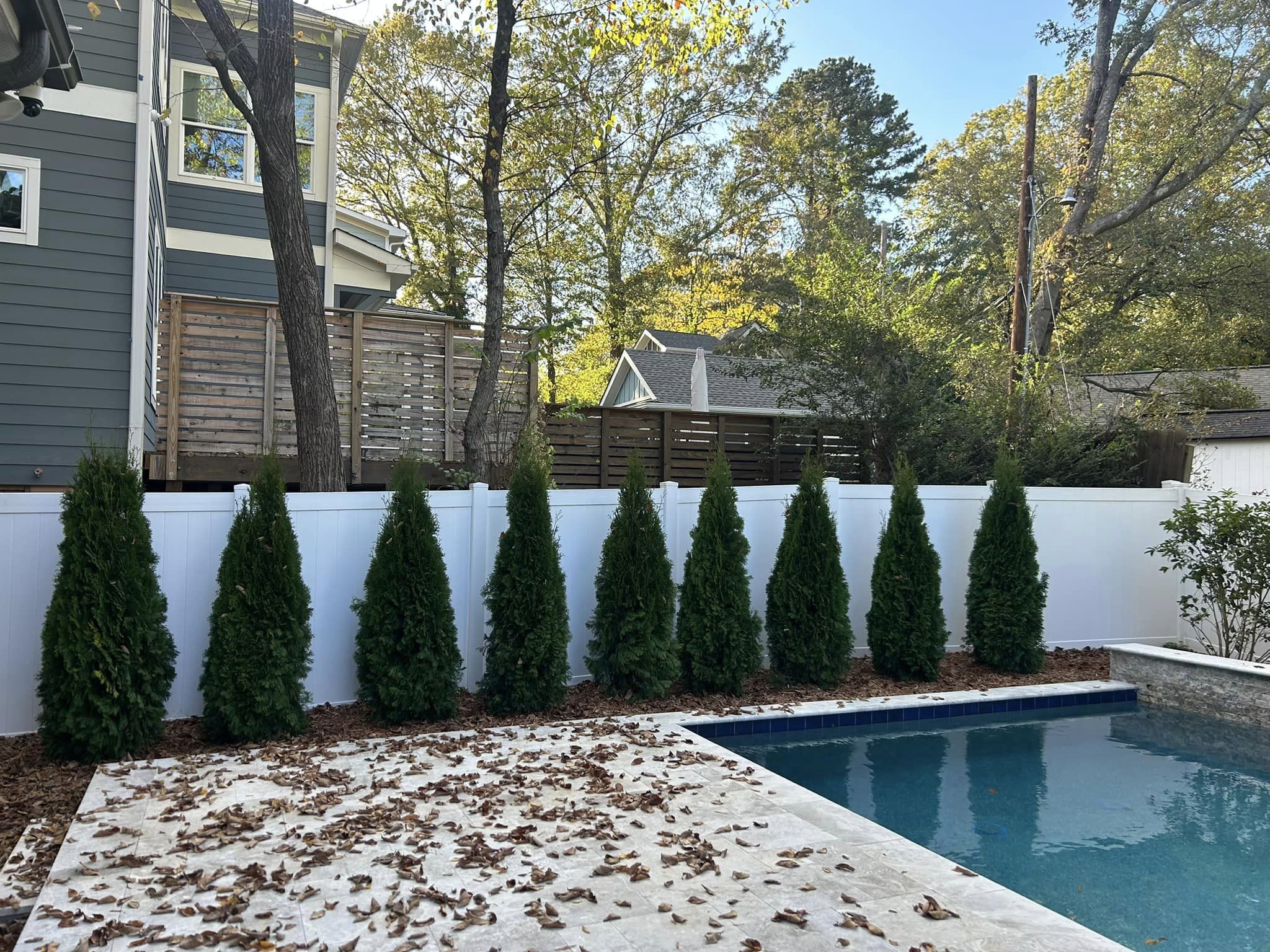 Emerald Green Arborvitae – Mr. Outdoor Living® Tip of the Day