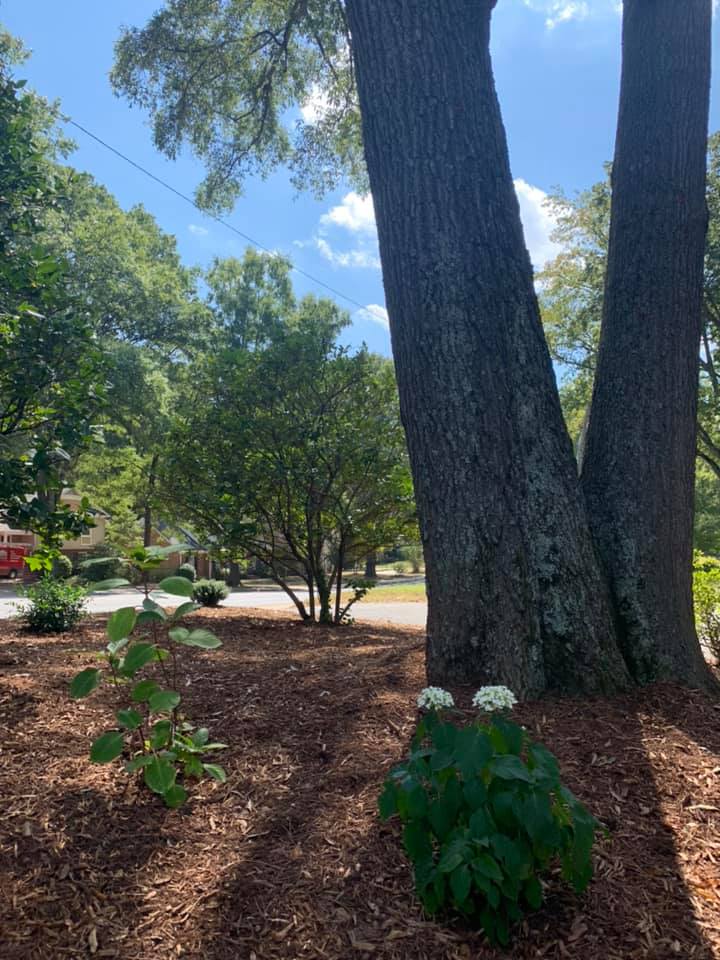 Fall Landscaping – Outdoor Living Tip of the Day