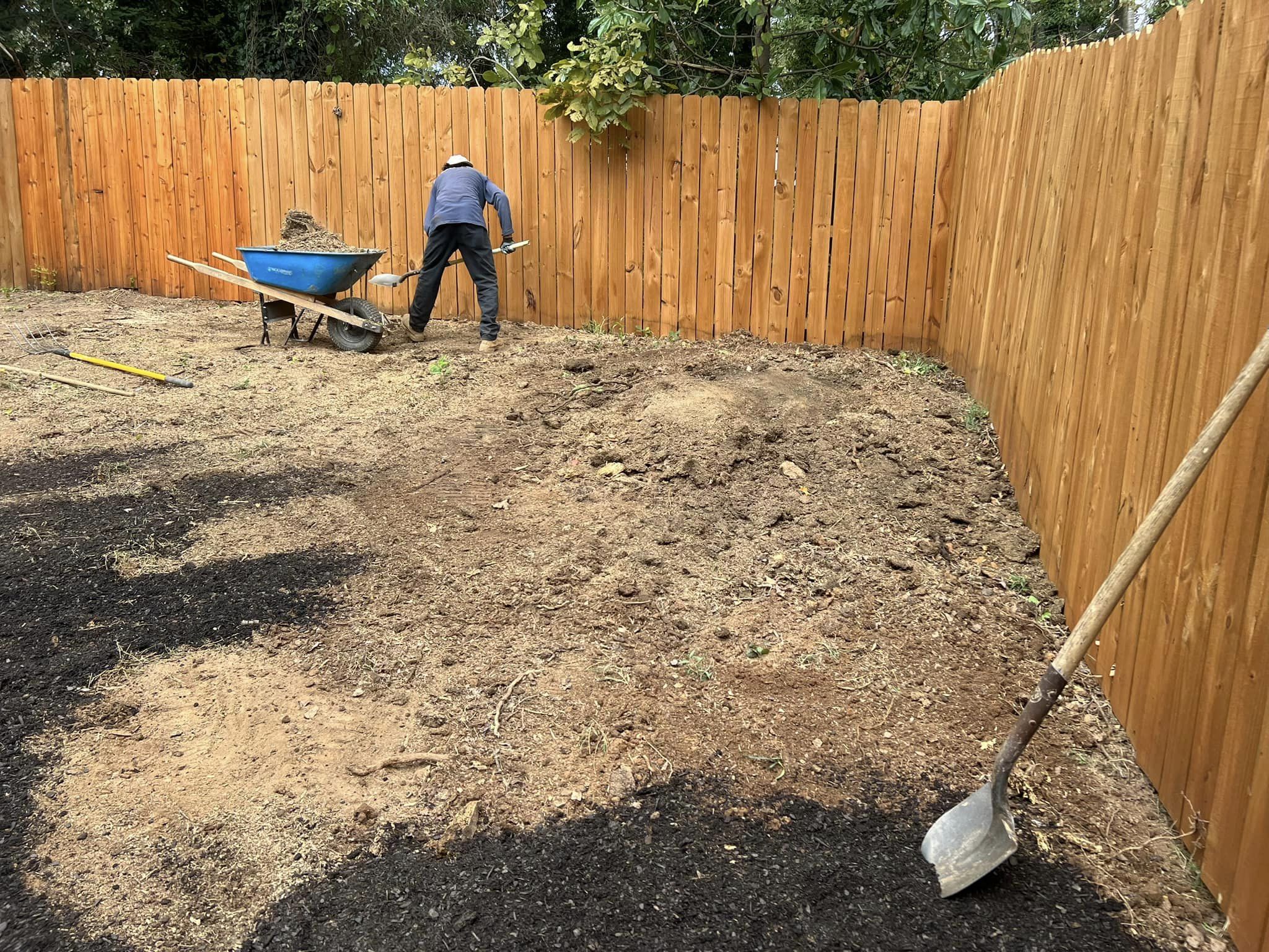 Fescue Grass Sod – Mr. Outdoor Living® Tip of the Day
