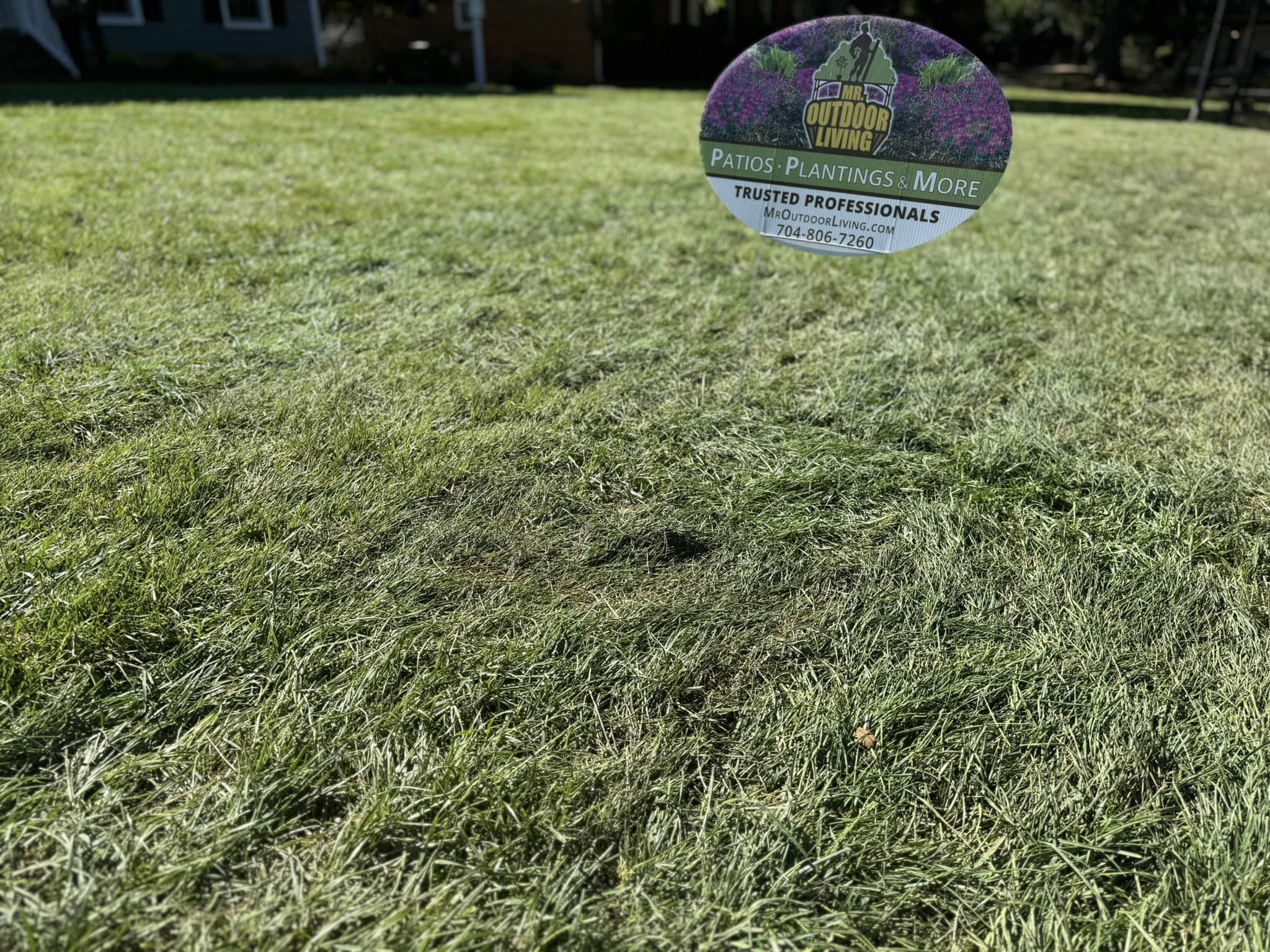 Fescue Grass Sod – Mr. Outdoor Living® Tip of the Day