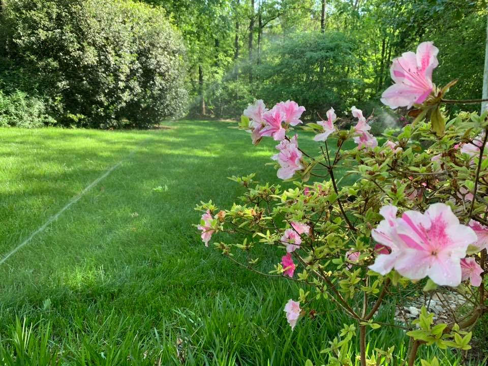 Irrigation – Outdoor Living Tip of the Day