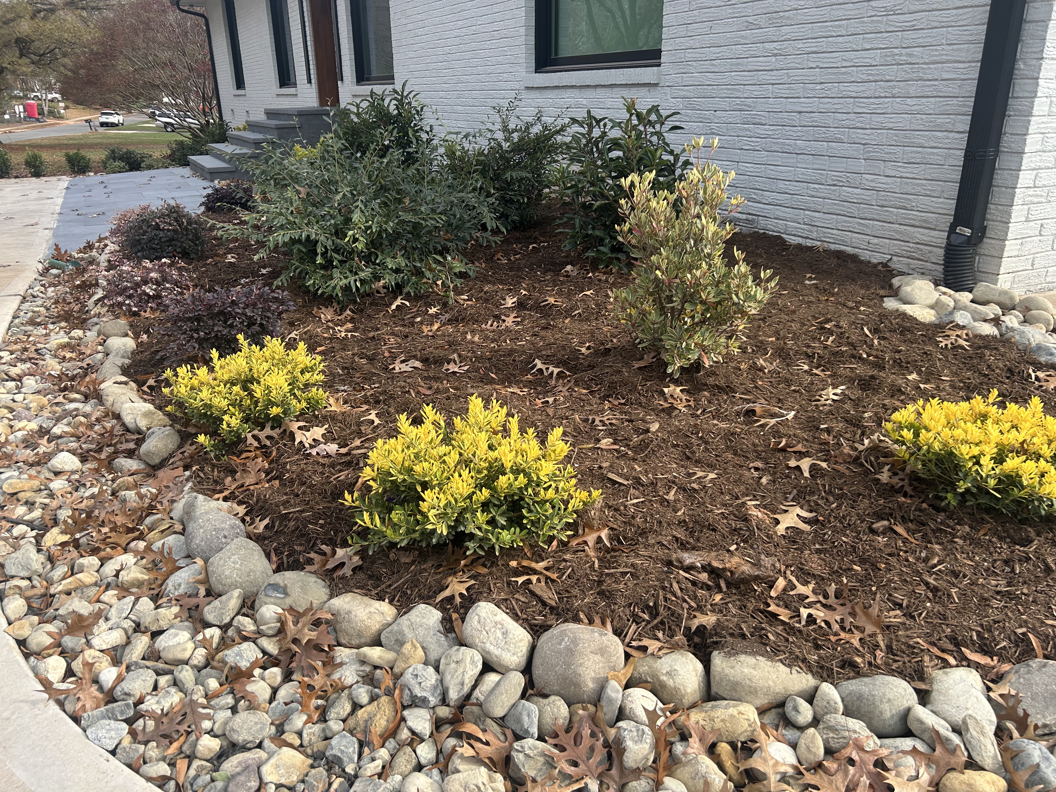 Mr. Outdoor Living: Fast Curb Appeal Upgrades for Instant Home Transformation