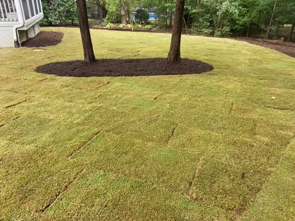 New Backyard Lawn – Outdoor Living Tip of the Day