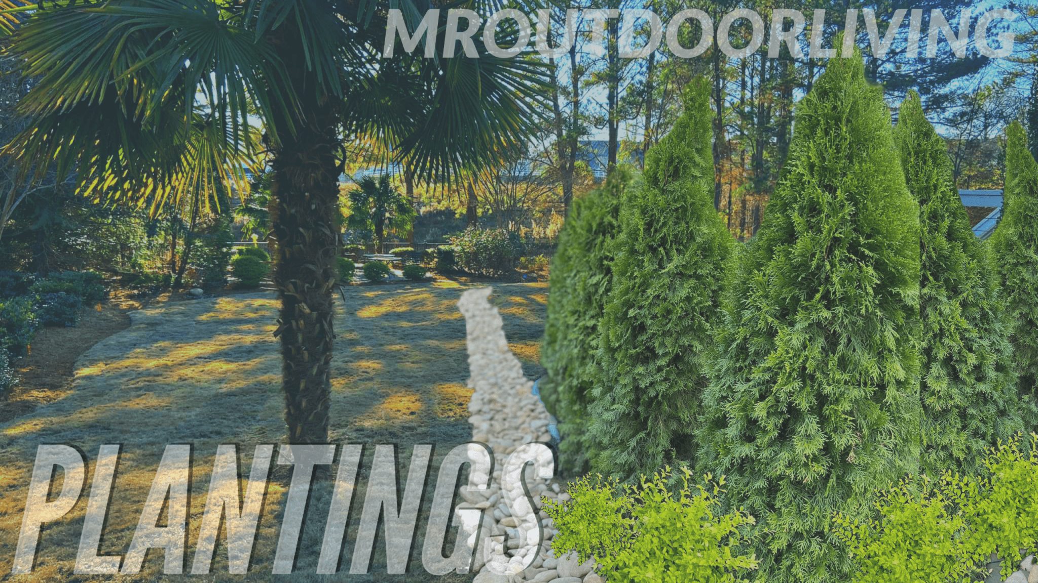 Plantings – Outdoor Living Tip of the Day