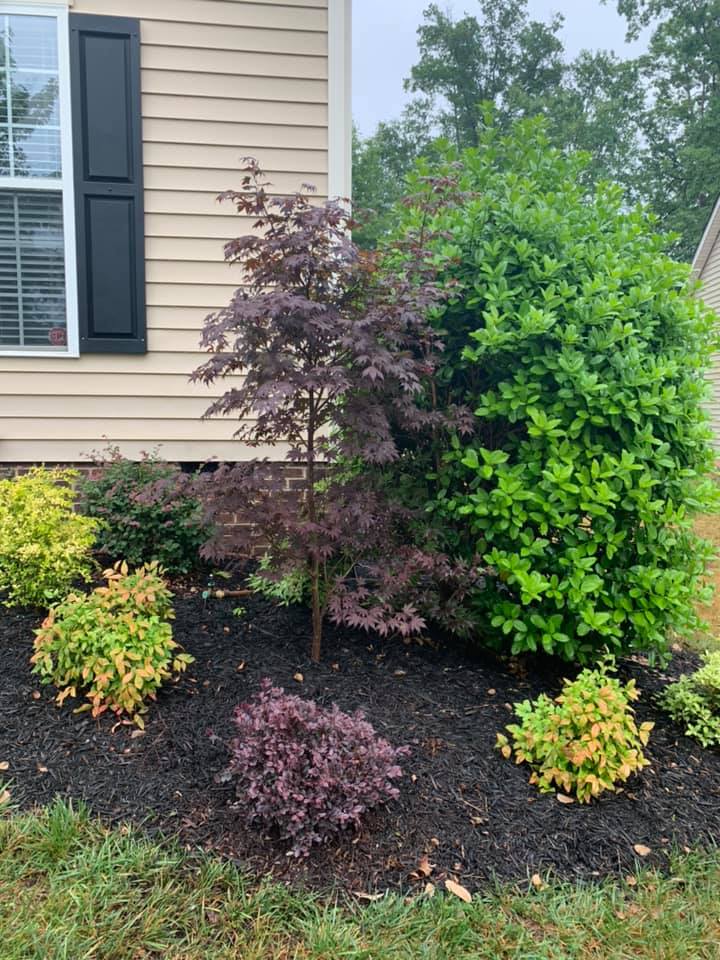 Plantings Warranty – Outdoor Living Tip of the Day