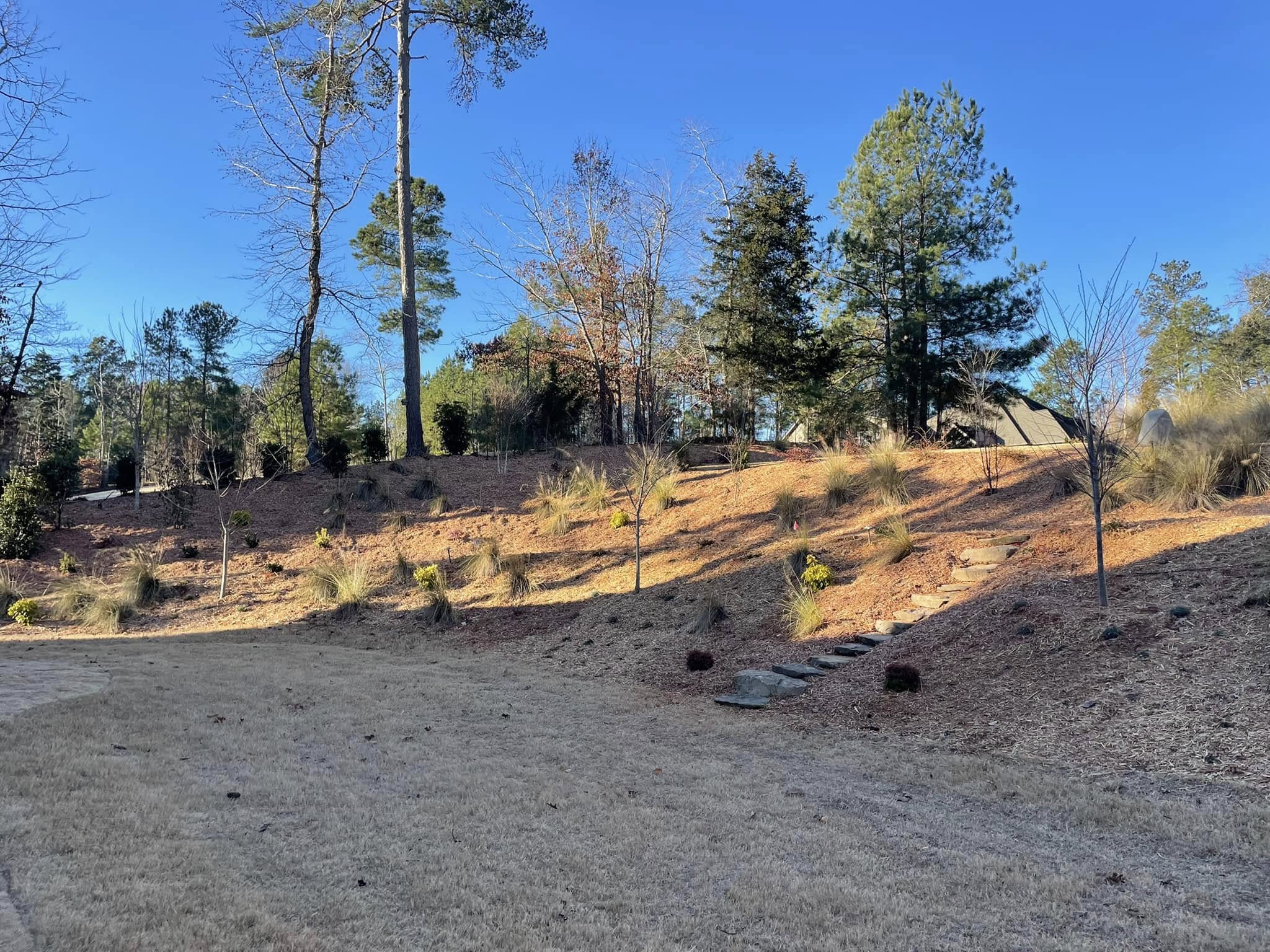 Privacy Landscaping – Mr. Outdoor Living® Tip of the Day