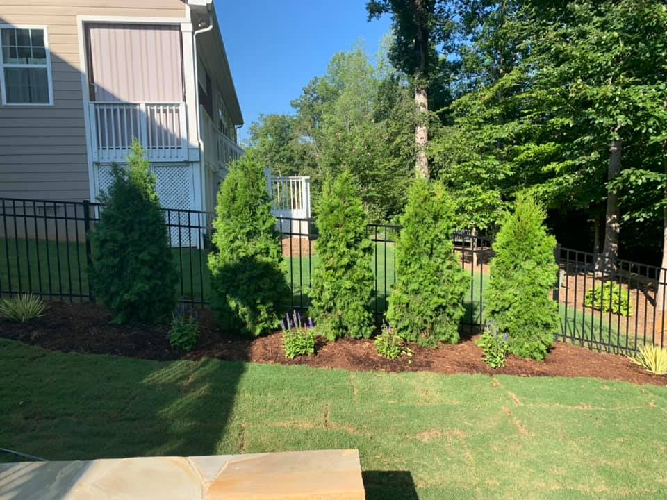 Privacy Landscaping – Outdoor Living Tip of the Day