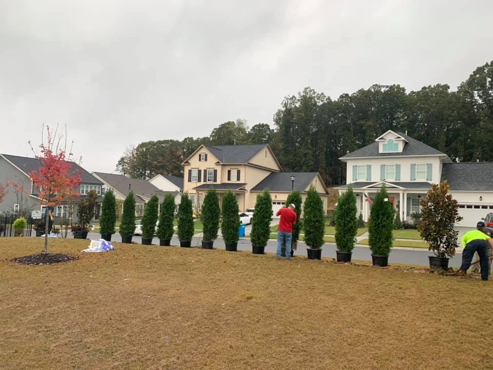 Privacy Landscaping – Outdoor Living Tip of the Day