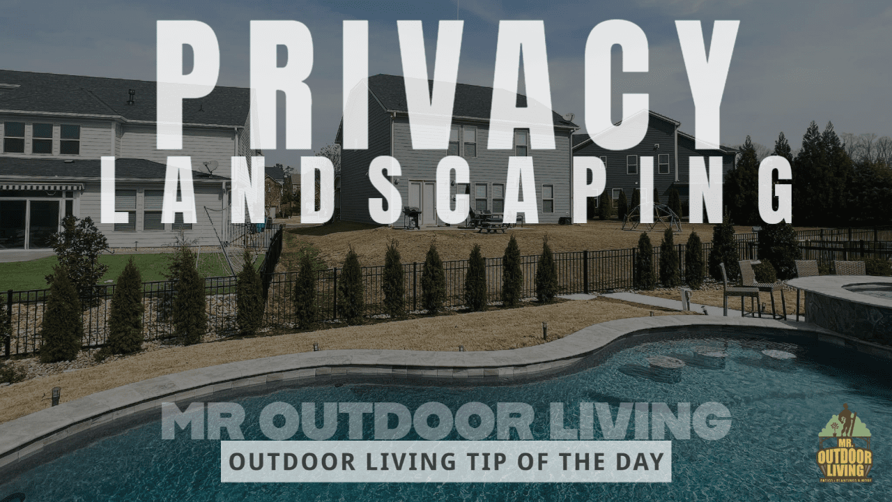 Privacy Landscaping – Outdoor Living Tip of the Day