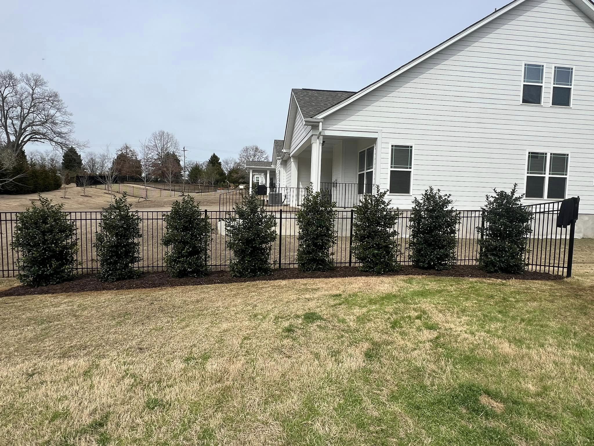 Privacy Landscaping – Outdoor Living Tip of the Day