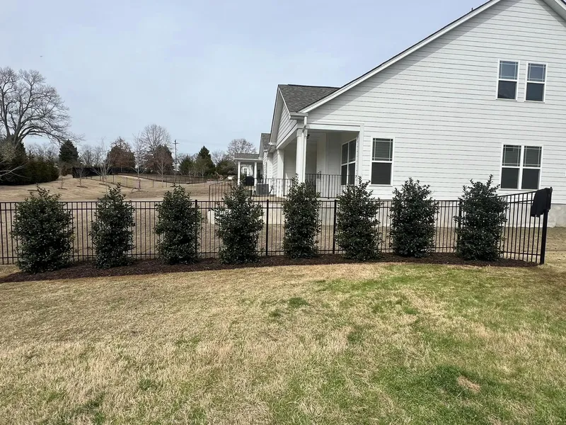 Privacy Landscaping – Outdoor Living Tip of the Day