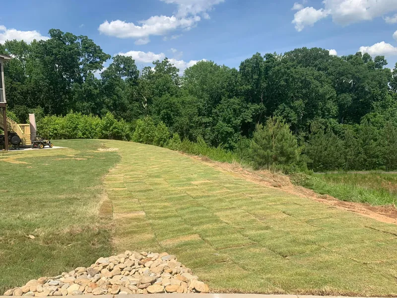 TifTuf Bermuda Grass Sod – Outdoor Living Tip of the Day