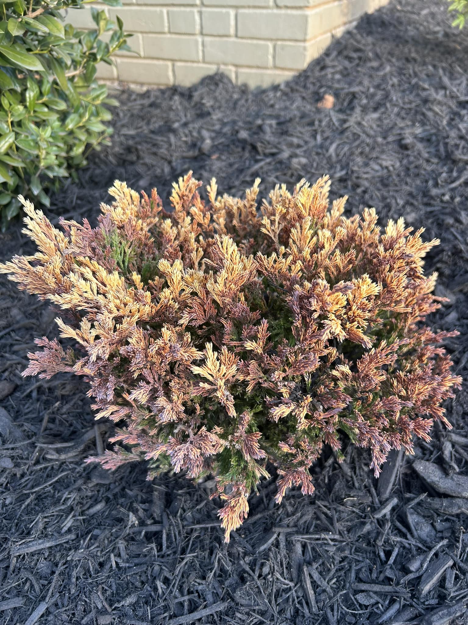 Outdoor living project 35 - Mr. Outdoor Living Charlotte NC