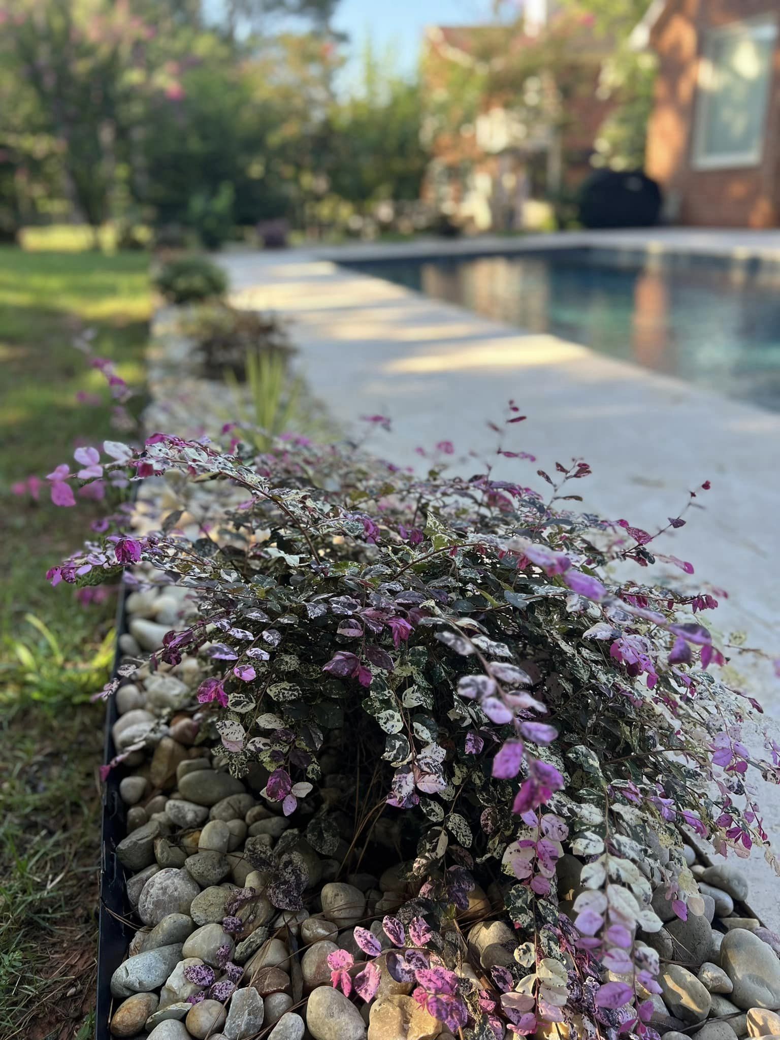 Services - Mr. Outdoor Living Charlotte NC