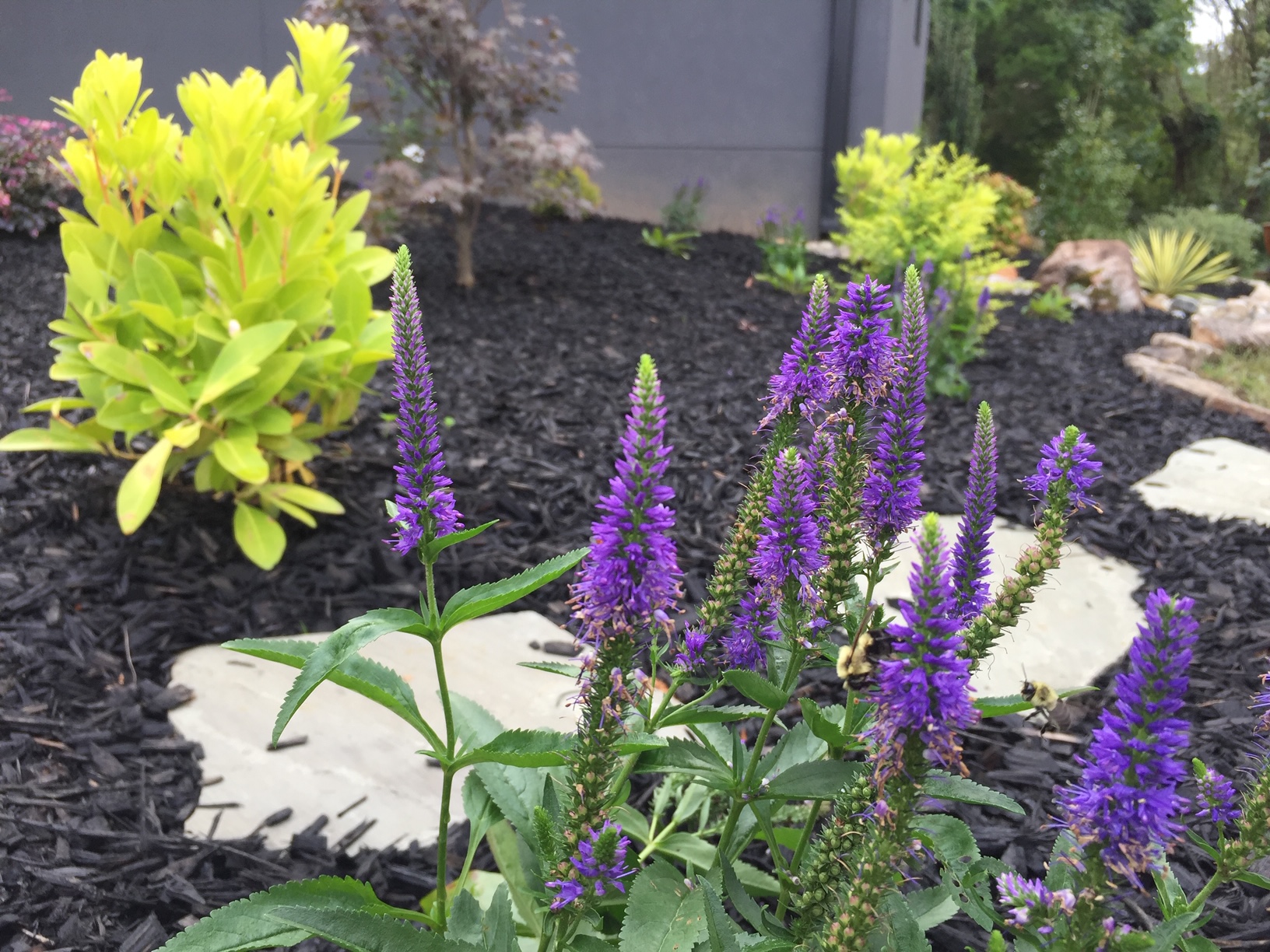 Curb Appeal - gallery 6 - Mr. Outdoor Living