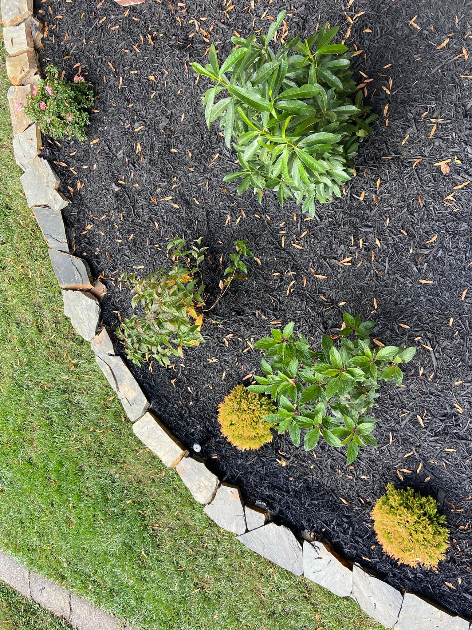 Curbing - Mr. Outdoor Living Charlotte NC